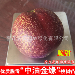 ����ɰѩ���������Ҙ�޽����Ե��Թ��������Ҙ�����ϱ����Nֲ