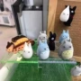 多肉景观pvc苔藓公仔