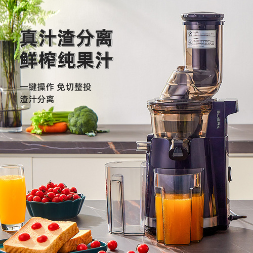 Commercial Quiet Juicer Juice and Pulp Separator Fruit Frying Home Portable Juicer Electric Juicer Wholesale 