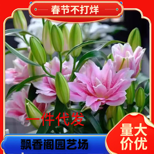 һ�����l�ذ���ˮ�ٺϻ��N�������҃��̨�ļ��_�����������ܷN��