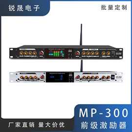 MP-300 专业前级激励器优化音质家用娱乐KTV演出蓝牙USB播放器