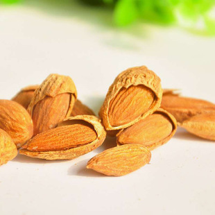 �½��͵�ľ500g��؛���_ľ��̹ľ���ʺ決�ɹ������e�Թ���ʳ