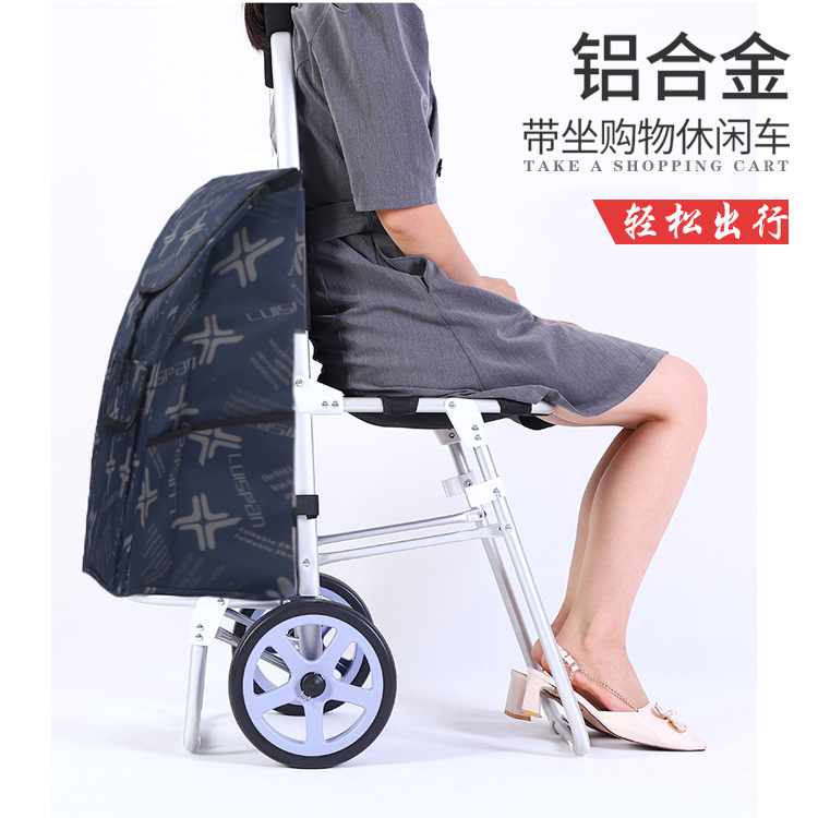 Folding Portable Shopping Cart with Seat for Elderly, Suitable for Home Use, Can Be Pushed or Sat on