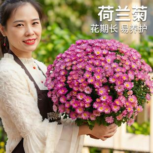 ���m�����Ԏ�������С���̨���ܶ������r���ļ��_���ױ���ջ�