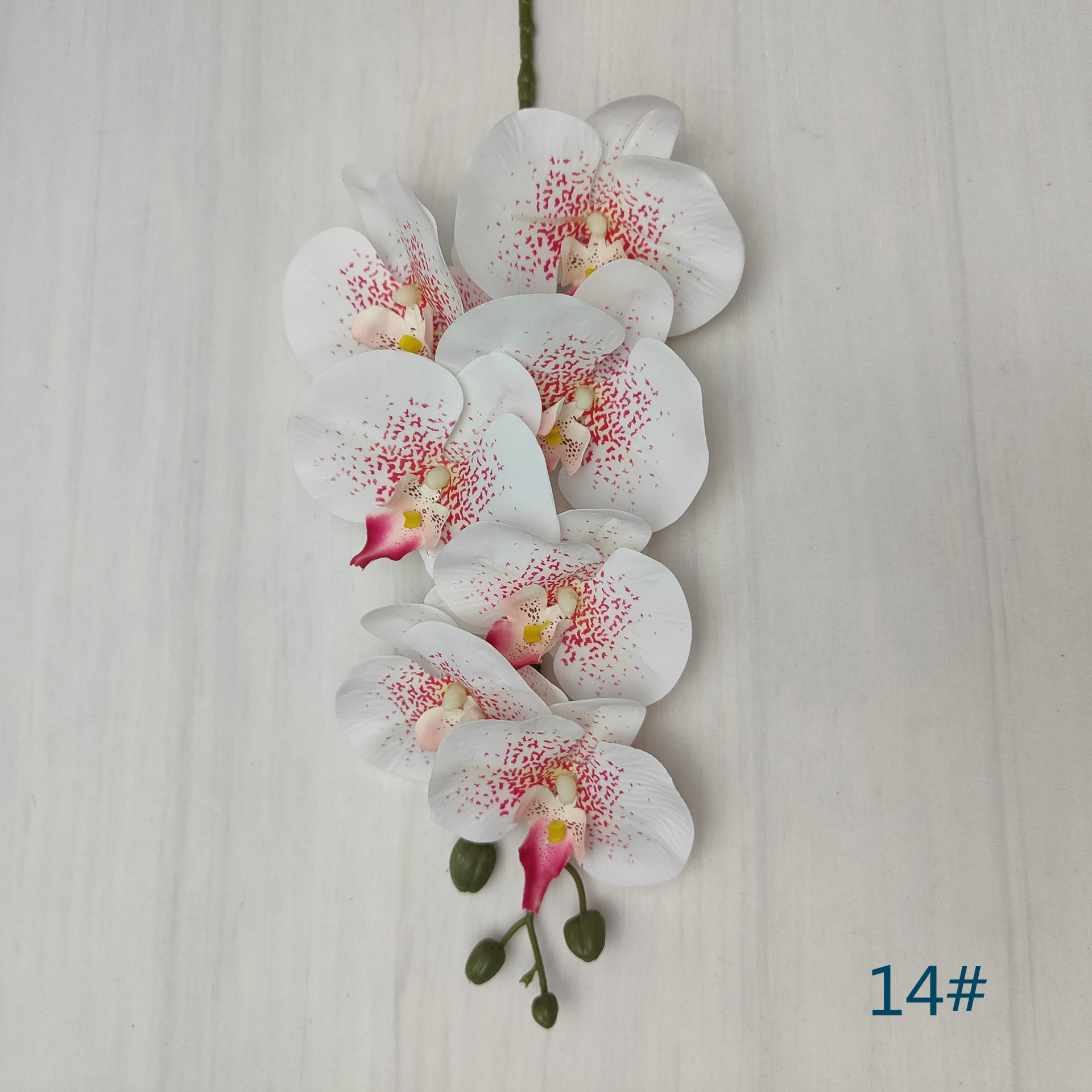 14#