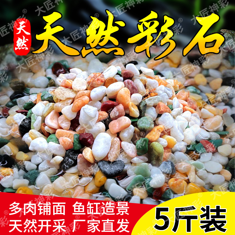 Natural Rain Flower Stone Raw Stone Fish Tank Bottom Sand Volcanic Stone Landscaping Small Stone Decoration Colorfulful Stone Five-Flower Stone Turtle Tank Natural Rain Flower Stone Raw Stone Fish Tank Bottom Sand Volcanic Stone Landscaping Small Stone Decoration Colorfulful Stone Five-Flower Stone Turtle Tank