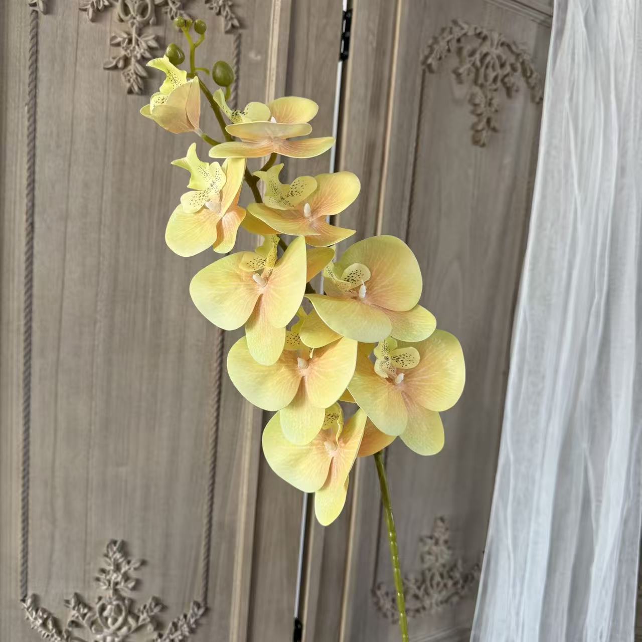 연노랑