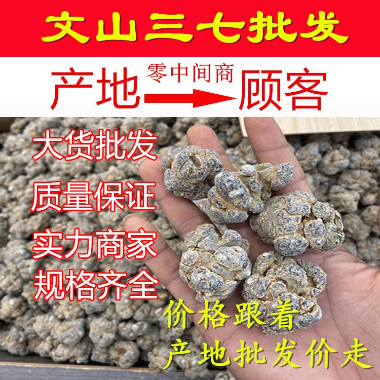 新货云南文山田七20头30头40头可代磨粉春三七产地批发产地直销