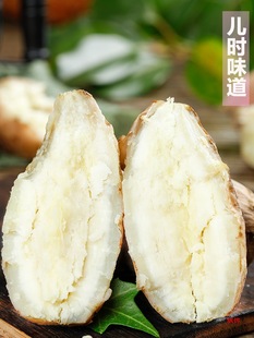 ���İ����t�����r����������ȿ�r���ԷN�tƤ�ع�ɽ����ݱ�Ƥ��