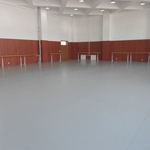 工厂直供 5mm舞蹈地胶瑜伽街舞民族舞培训练功PVC舞蹈高弹地板胶