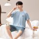 Modal Pajamas Men's Summer Short-sleeved Shorts Thin Outfit Cool-feeling Casual Summer Home Clothes suit 27