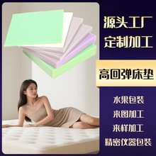 厂家直供柔软定制舒适耐用床垫高弹性沙发垫5cm10cm厚海绵垫