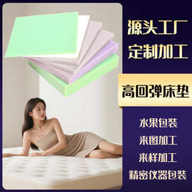 厂家直供柔软定制舒适耐用床垫高弹性沙发垫5cm10cm厚海绵垫
