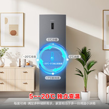 ����261��һ����Ч���ű���С�ͱ�Ƶ���ܷ�����˪BCD-261D20RNLBD