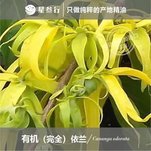 ��ȫ���m�����R�_��˹�Ӯa�ط�����Ħ��޹ֲ��ԭ�����l