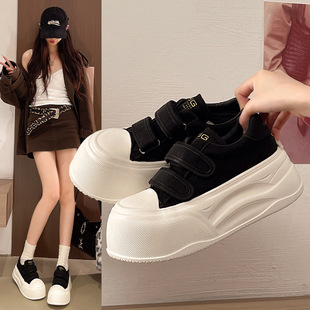 ���������^���^ħ�g�N2026�¿����ɸ�С��Ь���Ь���eŮЬ