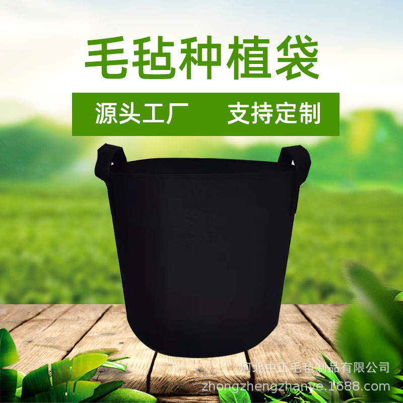 手提式毛毡植物种植袋袋蔬菜生长袋异型growbag无纺布美植袋创意