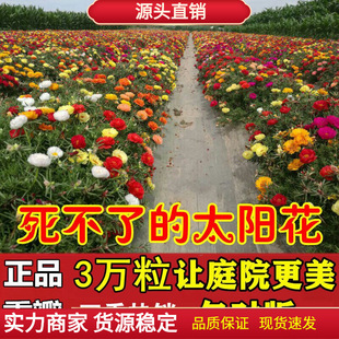 �ذ�̫ꖻ��N�����ͺ��͟��ļ��_�����N�̨�҃�ͥԺ���Ի��ܷN��