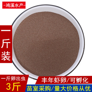 Fengnian shrimp eggs 500g hatchable brine eggs ornamental fish colorful guppy fish food fish shrimp crab fry open feed