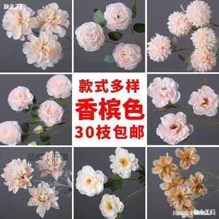 ·�����㙉ɫϵ��c�����F�����m��Y�ù����b���һ�����l