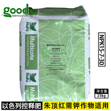 ɫкȫĤጷ피t󽪊WGA2 325S  328Sƽ