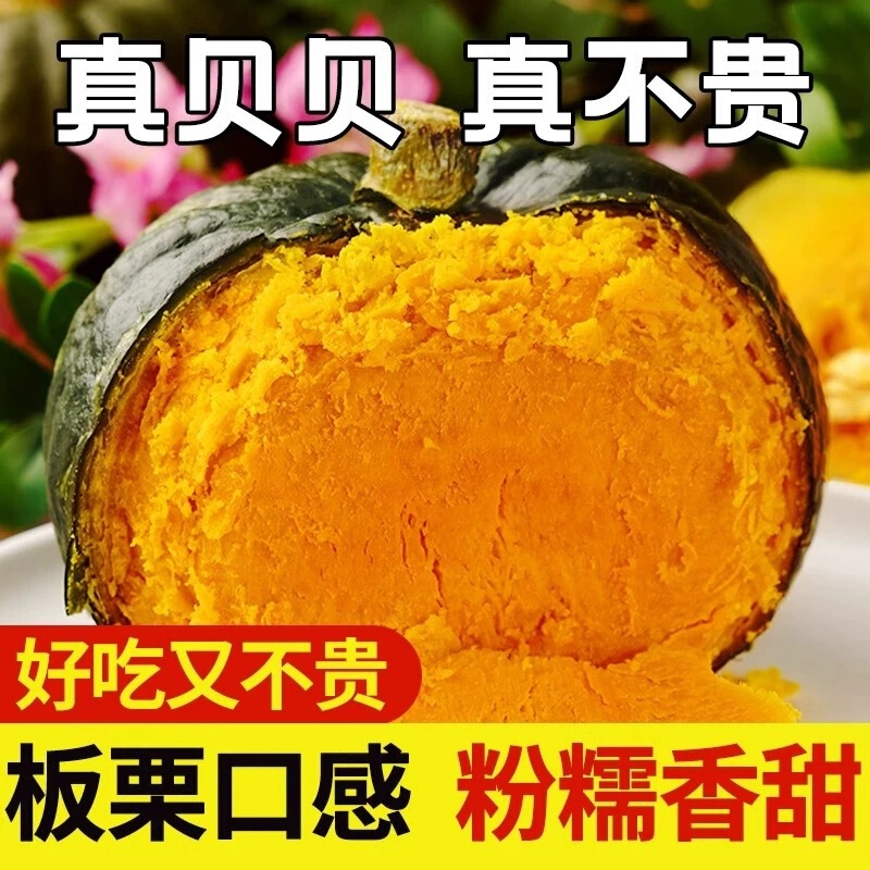 Authentic Beibei Pumpkin Fresh Chestnut Flavor Small Pumpkin Baby Food Complementary Powder Glutinous Sweet Whole Box Free Shipping
