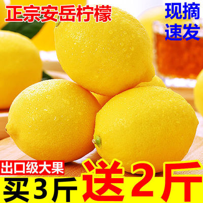 lemon Anyue Yellow Lemon fruit Season fresh Full container wholesale Pellicle class a Large fruit Flood damage Manufactor wholesale