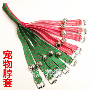 Pet collar collar dog collar traction rope collar