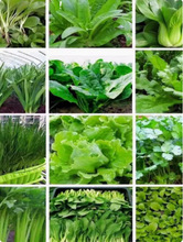 N߲˷NӷѽzSĿĲ˷N̨