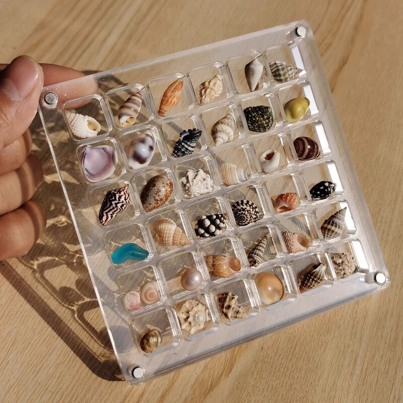 Shell Storage Box Acrylic Square Transparent Seaside Micro Stone Specimen Display Collection Magnetic Storage Photo Frame Shell Storage Box Acrylic Square Transparent Seaside Micro Stone Specimen Display Collection Magnetic Storage Photo Frame