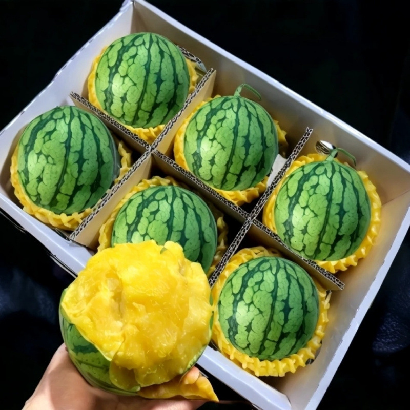 特小凤西瓜手撕冰淇淋黄瓤皮薄脆甜多汁新鲜采摘麒麟西瓜自然成熟