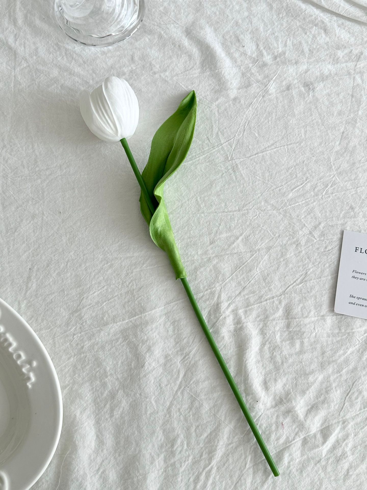 흰색 단일 튤립