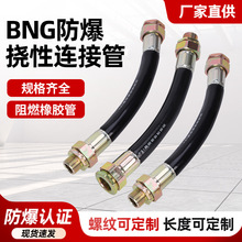 BNG防爆挠性连接管DN15-DN100变径活动接头管接头304钢丝编织管