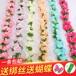 ����ѻ����ٿ��{�ܵ��ړ��ٻ��ٗl����҃��b�c���������p�@