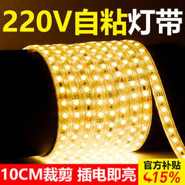 220v灯带led灯条自粘超亮客厅吊顶线型灯户外防水氛围灯带免驱动