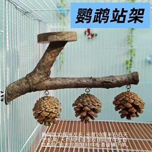 �W�^վ���Bվ���P��Ƥ��֦վ�UС�B��Ϣ�����B�\ԭľӖ����ǧվ̨
