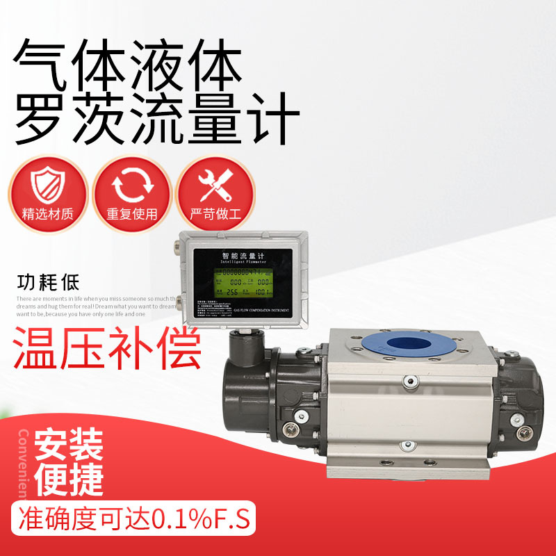 天然气腰轮罗茨流量计煤气沼气液化气瓦斯DN25 40 50 65 80 100