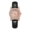 Fashionable swiss watch, quartz belt, women's watch, wholesale