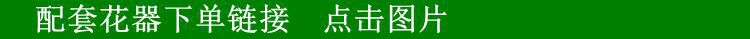 河南厂家现货批发新款仿真菊花中粗杆大把束假花七头金丝菊绢花详情33