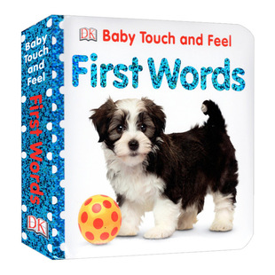 DK Baby Touch Book Baby Touch and Feel First Words word cognitive picture book