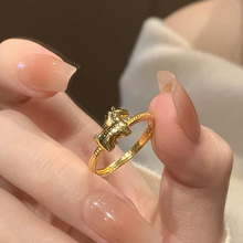 2026�¿���Ф�RС�R�x�R�������D�\��ָС���߼����R�����Xָ�hŮ