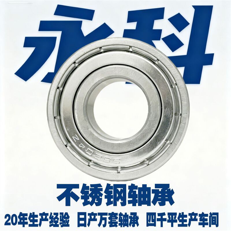 S6200 S6201 S6202 S6203 S6204 S6205 Zz Stainless Steel Deep Groove Ball Bearings