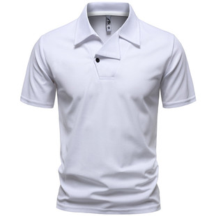 2026�����Q�¿���ʿ��ɫ�p���OӋ����POLO�����b��a���ɷ��IT��