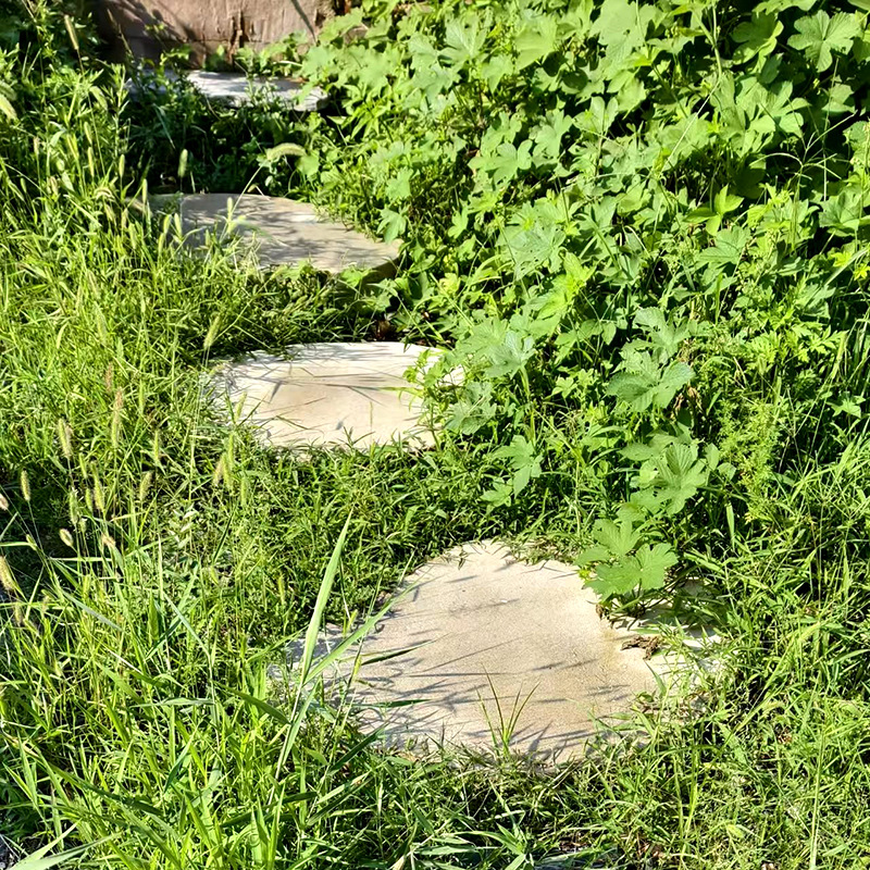 微信图片_20251105092547_57_1498.jp