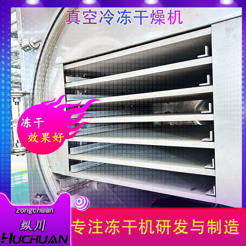 厚切酸奶块真空干燥机冻干圆仓鸭肉鸡柳冻干机 奇异果冻干机