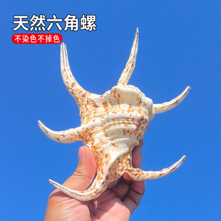 �ش�̖�����ݺ�����Ȼؐ������YƷɺ�����к�����Ȼ