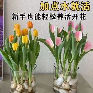 �ͺ�ˮ�������ļ����_�����Ի���ֲ��͏d�Gֲ���ܺ��B��һ�����l