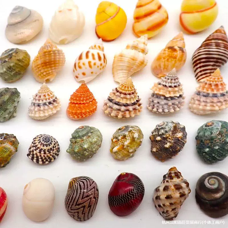 Ручная работа: заменители раковин для крабов-отшельников с декором в виде большого рта, доступны в маленьких и больших размерах.