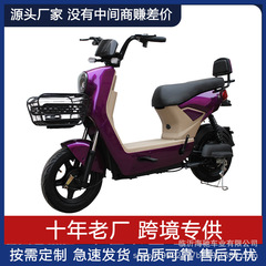二輪電気自動車の源工場のバッテリー自転車は24インチの新型車の出荷が長くて小型です。