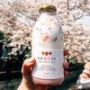 the republic of korea 500ml Milk bottles Red strawberries Milk shake empty bottle lemon Beverage bottles Bubble tea Glass Milk bottle